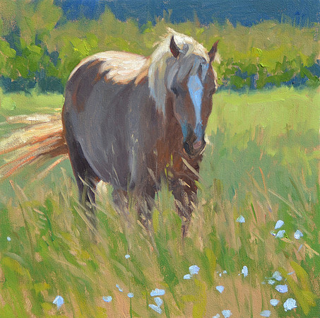 In a Summer Field