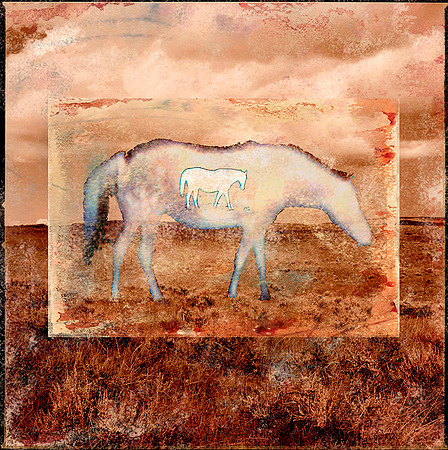 Mare Foal