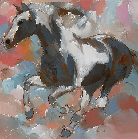 Pinto Horse
