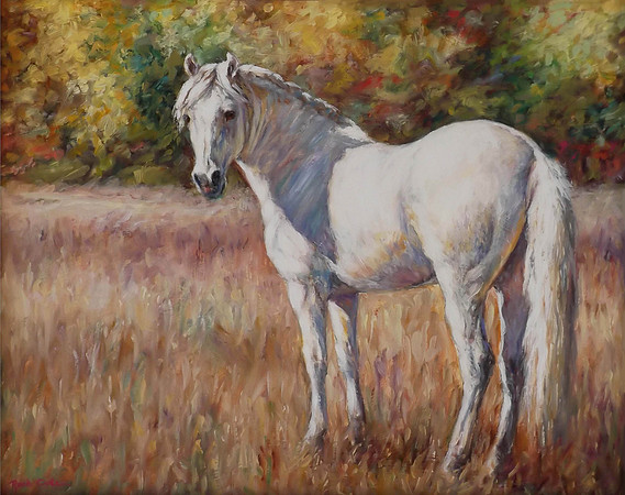WHITE HORSE MEADOW
