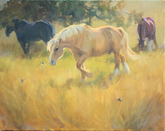 Meadow Song