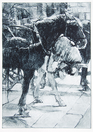 Malta Horses