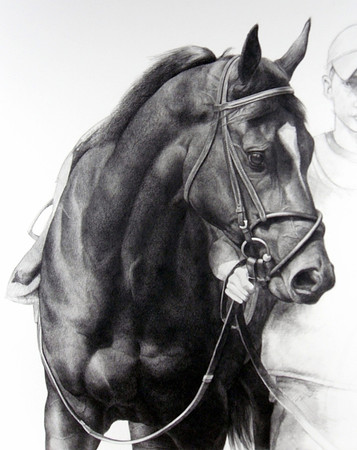 In The Paddock