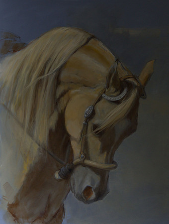 Show Pony